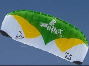 Aile Apex III - HQ KITES