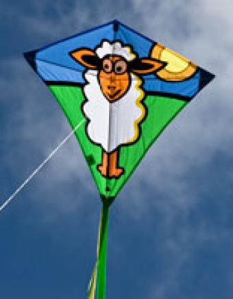 Eddy sheep
