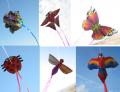 Mini micro kite papillon
