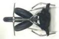 Buggy Folding - Peter-Lynn