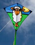 Eddy sheep