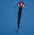 Flowtail delta 6m - HQ KITES