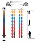 Longboard Onda Core - Onda