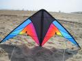 Cerf-volant Quick Step II - HQ KITES