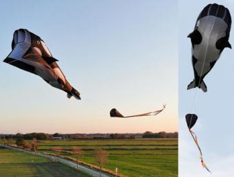 Parafoil Kite Orca