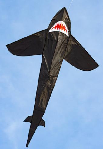 Shark Kite 7