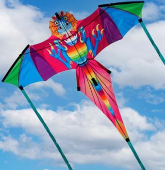 Spiderkites Dragon Kite