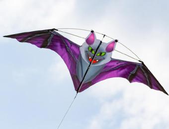 Bat Kite Dark Fang 