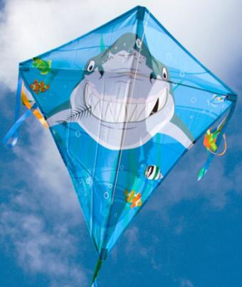 Spiderkites Eddy Shark