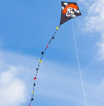 Eddy Eco Jolly Roger 50 