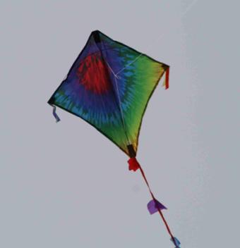 Spiderkites Eddy Magic Mini