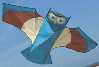 Spiderkites Owl Einstein