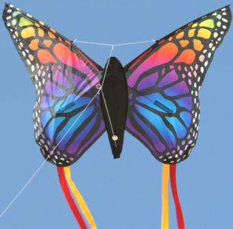 Spiderkites butterfly mini rainbow