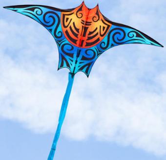 Manta Kite (Ralf Dietrich)