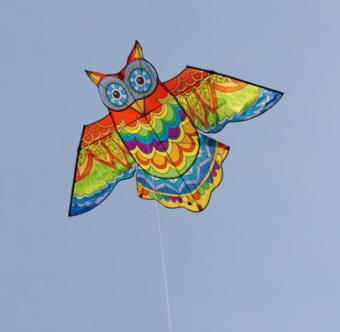 Owl Kite Jazzy
