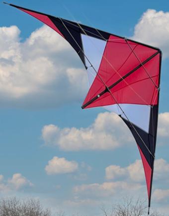 Spiderkites huntsman light red / black / white