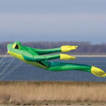 Wolkensturmer fritz the frog vert