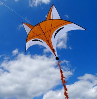 Fox Kite