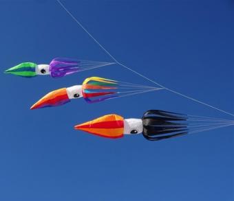 Spiderkites Squid Kalmar