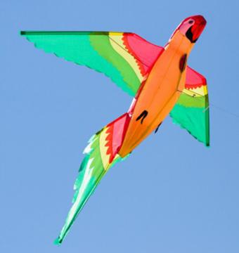 Parrot 3D