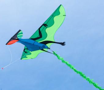 Flying Dinosaur 3D