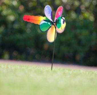 Spin Critter Dragonfly