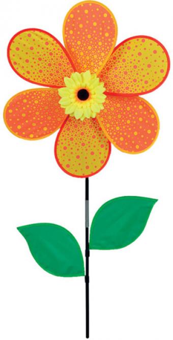 Pk Autumn Sunflower