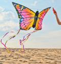 Butterfly Ruby L 130 x 80