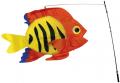 Pk Swimming Fish Flame Fish