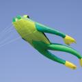 Fritz The Frog